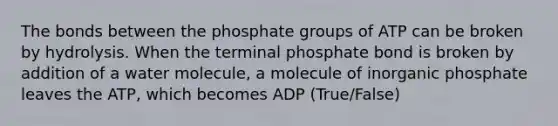 The bonds between the phosphate groups of ATP can be broken by hydrolysis. When the terminal phosphate bond is broken by addition of a water molecule, a molecule of inorganic phosphate leaves the ATP, which becomes ADP (True/False)