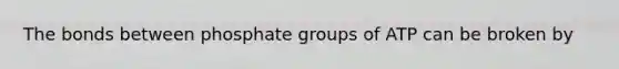 The bonds between phosphate groups of ATP can be broken by