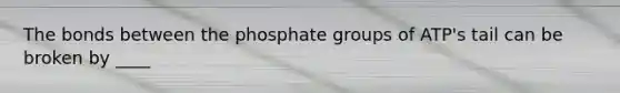 The bonds between the phosphate groups of ATP's tail can be broken by ____