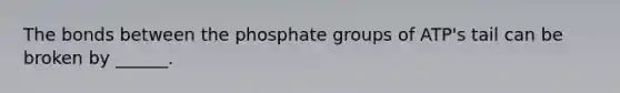 The bonds between the phosphate groups of ATP's tail can be broken by ______.