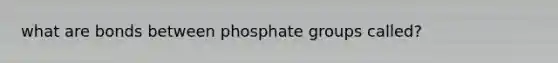 what are bonds between phosphate groups called?