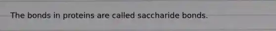 The bonds in proteins are called saccharide bonds.