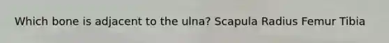 Which bone is adjacent to the ulna? Scapula Radius Femur Tibia