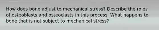 How does bone adjust to mechanical stress? Describe the roles of osteoblasts and osteoclasts in this process. What happens to bone that is not subject to mechanical stress?