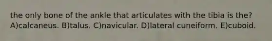 the only bone of the ankle that articulates with the tibia is the? A)calcaneus. B)talus. C)navicular. D)lateral cuneiform. E)cuboid.