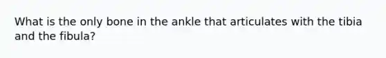 What is the only bone in the ankle that articulates with the tibia and the fibula?