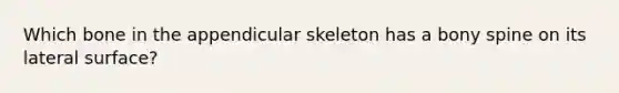 Which bone in the appendicular skeleton has a bony spine on its lateral surface?