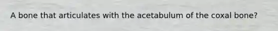 A bone that articulates with the acetabulum of the coxal bone?