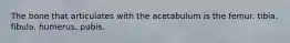 The bone that articulates with the acetabulum is the femur. tibia. fibula. humerus. pubis.