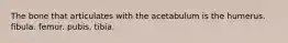 The bone that articulates with the acetabulum is the humerus. fibula. femur. pubis. tibia.