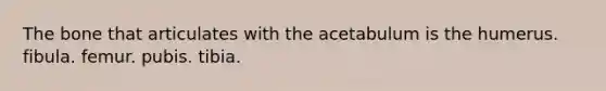 The bone that articulates with the acetabulum is the humerus. fibula. femur. pubis. tibia.