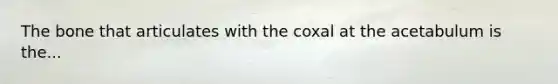 The bone that articulates with the coxal at the acetabulum is the...