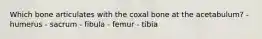 Which bone articulates with the coxal bone at the acetabulum? - humerus - sacrum - fibula - femur - tibia