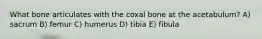 What bone articulates with the coxal bone at the acetabulum? A) sacrum B) femur C) humerus D) tibia E) fibula