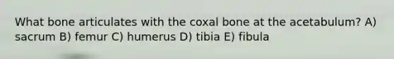 What bone articulates with the coxal bone at the acetabulum? A) sacrum B) femur C) humerus D) tibia E) fibula