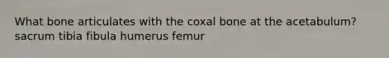 What bone articulates with the coxal bone at the acetabulum? sacrum tibia fibula humerus femur