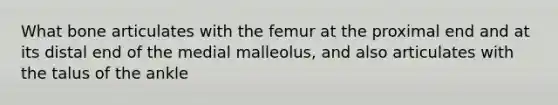 What bone articulates with the femur at the proximal end and at its distal end of the medial malleolus, and also articulates with the talus of the ankle