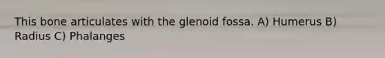 This bone articulates with the glenoid fossa. A) Humerus B) Radius C) Phalanges