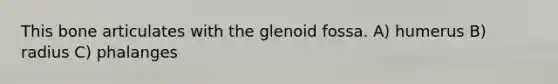 This bone articulates with the glenoid fossa. A) humerus B) radius C) phalanges