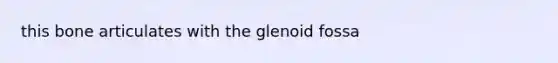 this bone articulates with the glenoid fossa