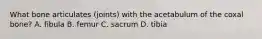 What bone articulates (joints) with the acetabulum of the coxal bone? A. fibula B. femur C. sacrum D. tibia