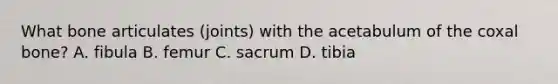 What bone articulates (joints) with the acetabulum of the coxal bone? A. fibula B. femur C. sacrum D. tibia