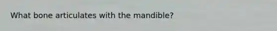 What bone articulates with the mandible?