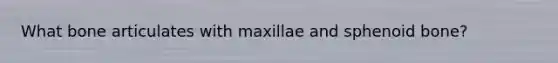 What bone articulates with maxillae and sphenoid bone?