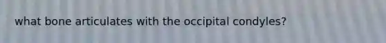 what bone articulates with the occipital condyles?