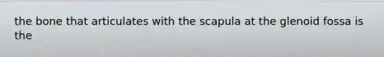 the bone that articulates with the scapula at the glenoid fossa is the