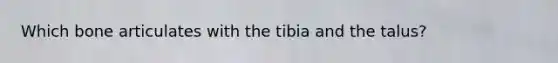 Which bone articulates with the tibia and the talus?