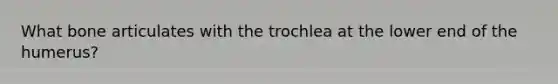 What bone articulates with the trochlea at the lower end of the humerus?