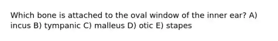 Which bone is attached to the oval window of the inner ear? A) incus B) tympanic C) malleus D) otic E) stapes