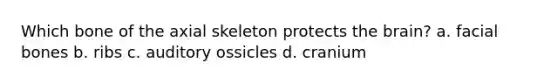 Which bone of the axial skeleton protects the brain? a. facial bones b. ribs c. auditory ossicles d. cranium