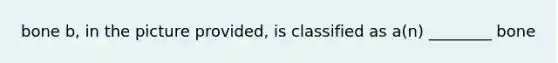 bone b, in the picture provided, is classified as a(n) ________ bone