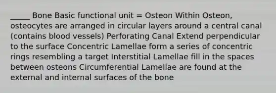 _____ Bone Basic functional unit = Osteon Within Osteon, osteocytes are arranged in circular layers around a central canal (contains <a href='https://www.questionai.com/knowledge/kZJ3mNKN7P-blood-vessels' class='anchor-knowledge'>blood vessels</a>) Perforating Canal Extend perpendicular to the surface Concentric Lamellae form a series of concentric rings resembling a target Interstitial Lamellae fill in <a href='https://www.questionai.com/knowledge/k0Lyloclid-the-space' class='anchor-knowledge'>the space</a>s between osteons Circumferential Lamellae are found at the external and internal surfaces of the bone