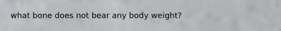 what bone does not bear any body weight?