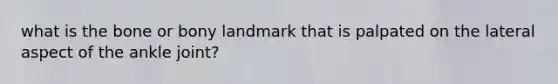 what is the bone or bony landmark that is palpated on the lateral aspect of the ankle joint?