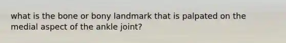 what is the bone or bony landmark that is palpated on the medial aspect of the ankle joint?