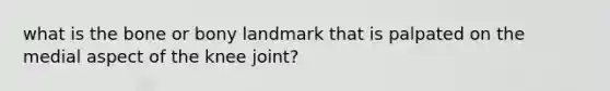 what is the bone or bony landmark that is palpated on the medial aspect of the knee joint?