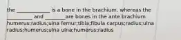 the _____________ is a bone in the brachium, whereas the __________ and ________are bones in the ante brachium humerus;radius;ulna femur;tibia;fibula carpus;radius;ulna radius;humerus;ulna ulna;humerus;radius