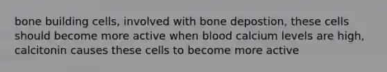 bone building cells, involved with bone depostion, these cells should become more active when blood calcium levels are high, calcitonin causes these cells to become more active