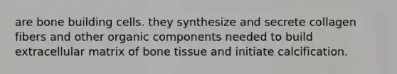 are bone building cells. they synthesize and secrete collagen fibers and other organic components needed to build extracellular matrix of bone tissue and initiate calcification.