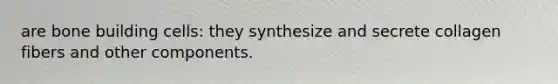 are bone building cells: they synthesize and secrete collagen fibers and other components.
