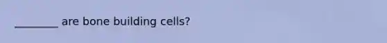 ________ are bone building cells?