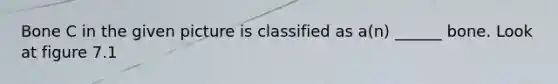 Bone C in the given picture is classified as a(n) ______ bone. Look at figure 7.1