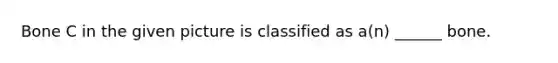Bone C in the given picture is classified as a(n) ______ bone.