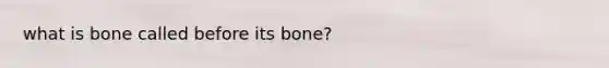 what is bone called before its bone?