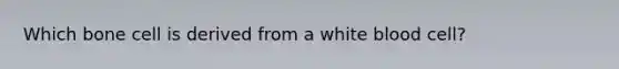 Which bone cell is derived from a white blood cell?