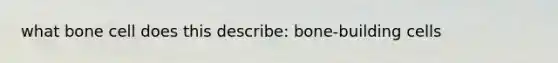 what bone cell does this describe: bone-building cells